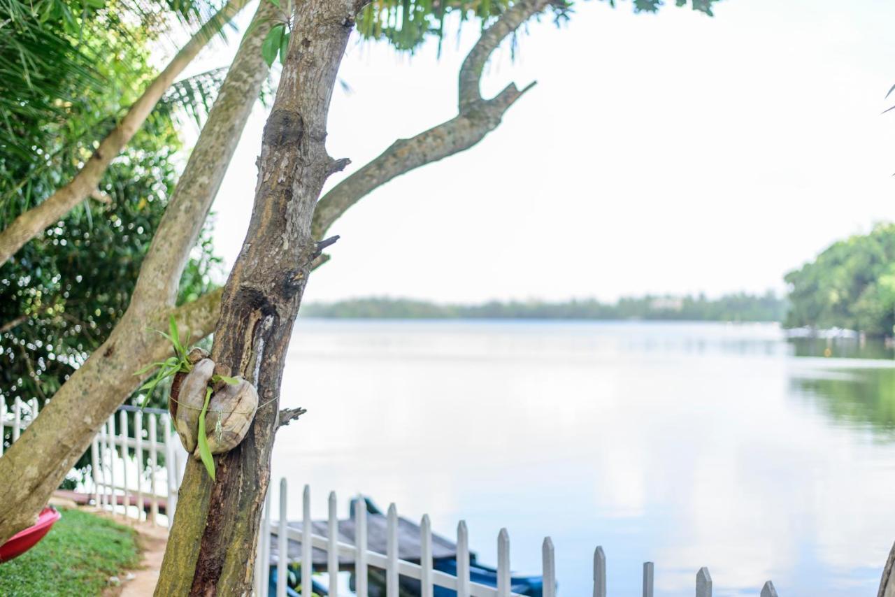 Scenery River Star Hotel Hikkaduwa Ngoại thất bức ảnh